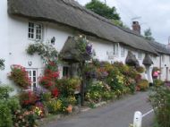 branscombe cottages